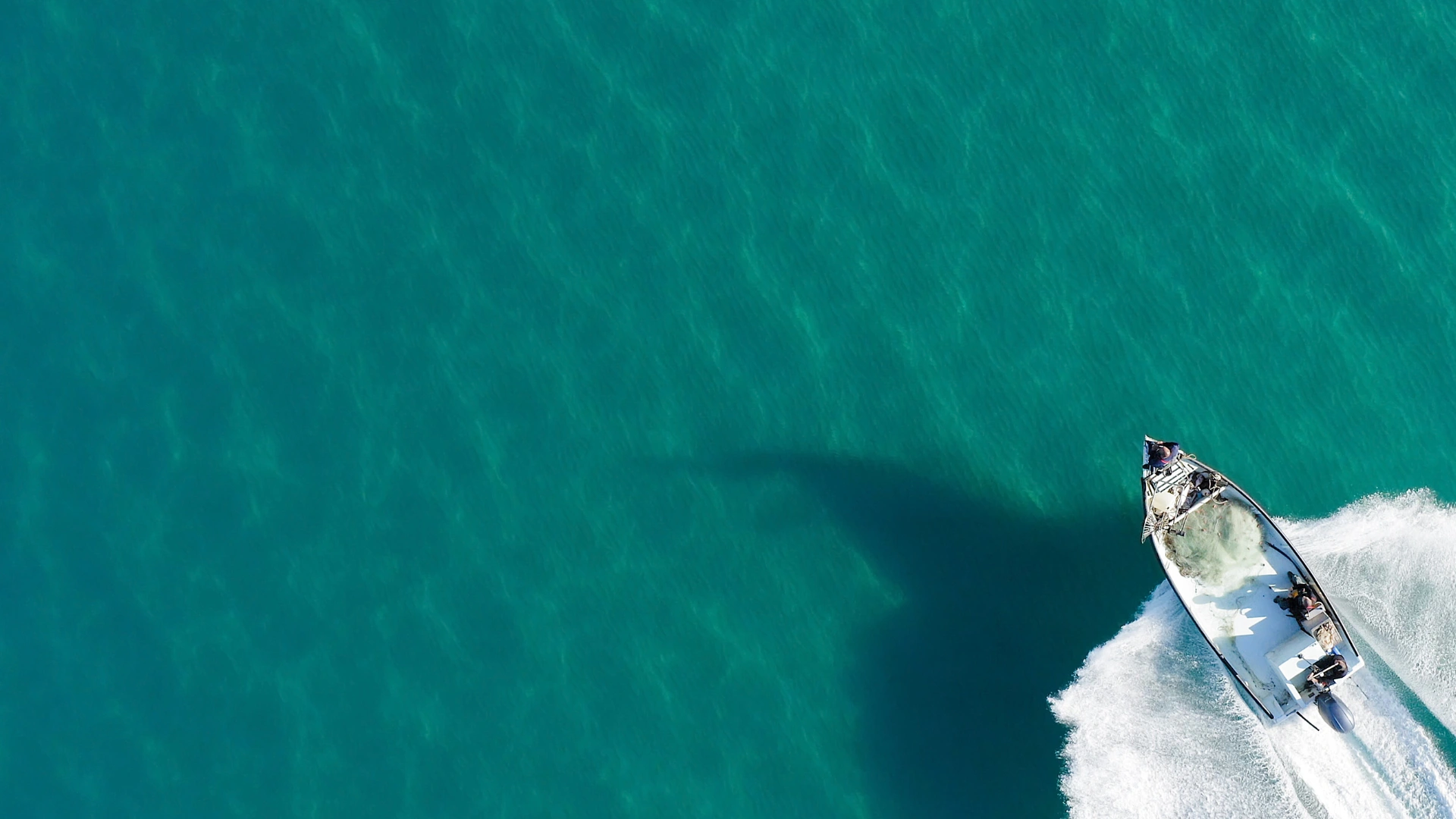 prix d'un bateau de peche